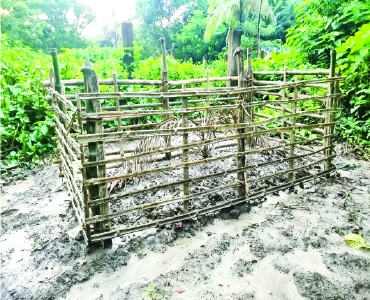Image of হাফেজ মো: রাসেল রানা